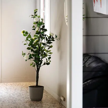 Garden Apartment Dongo