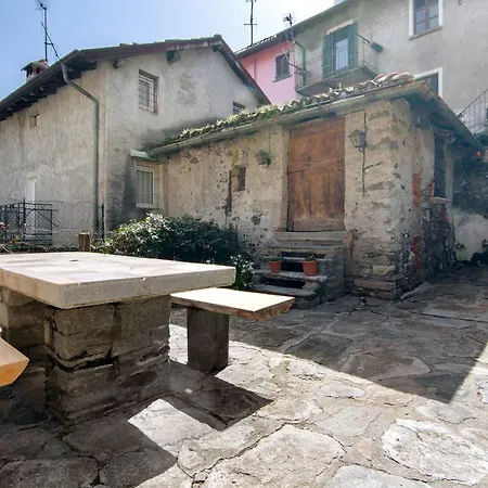 Garden *