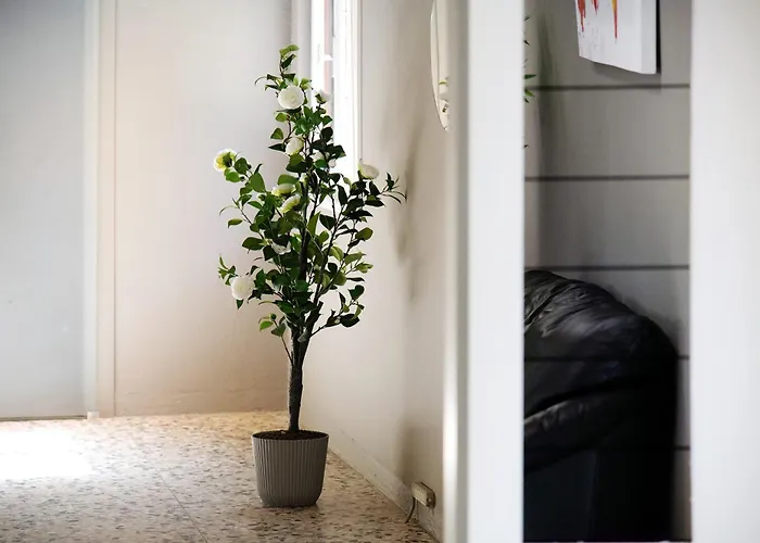 Garden Apartment Dongo